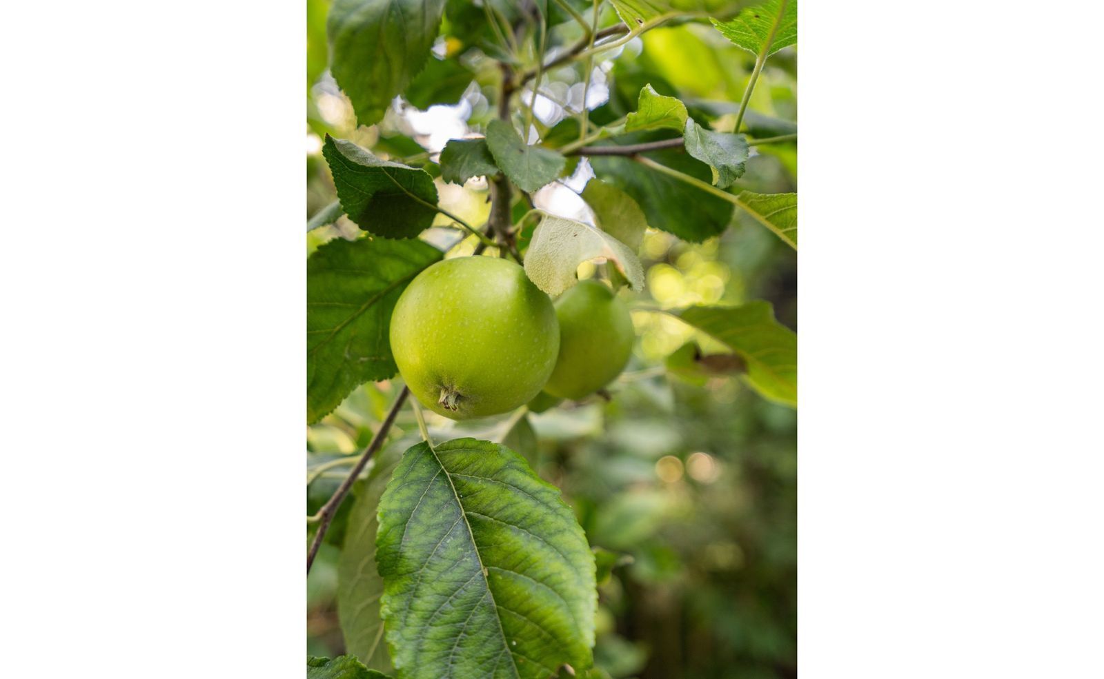 Van Riebeeckstraat 26, Utrecht foto-34