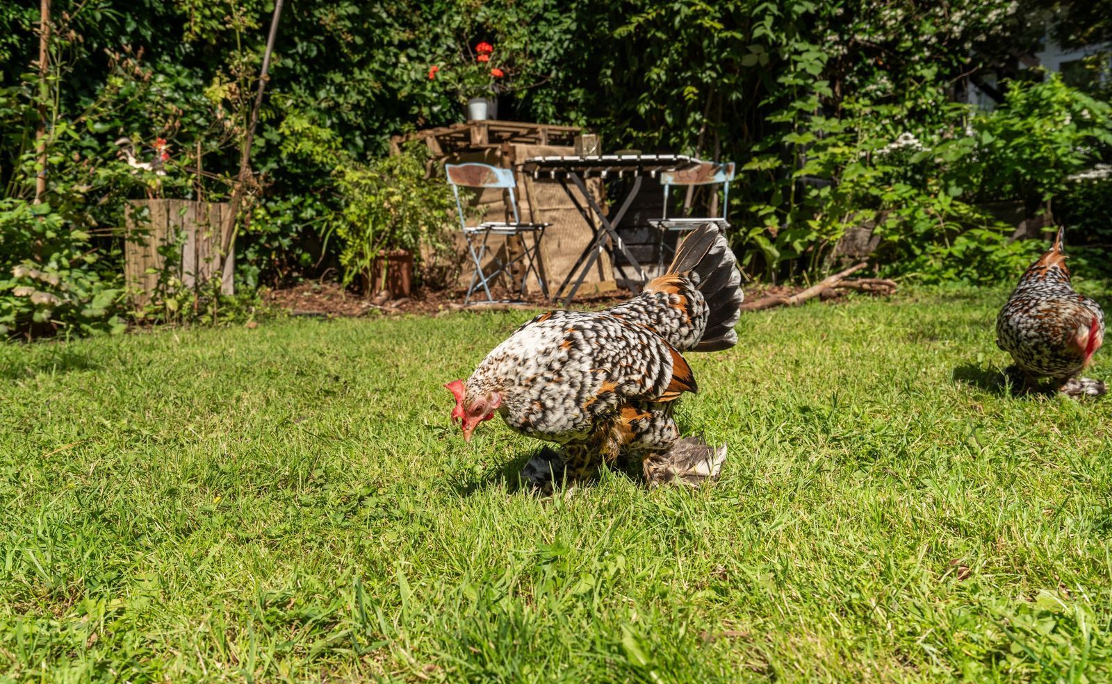 Van Riebeeckstraat 26, Utrecht foto-25