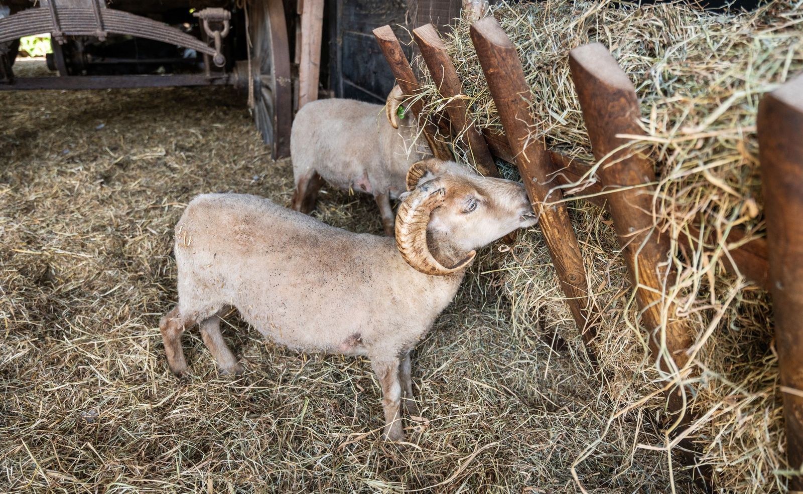 Van Riebeeckstraat 26, Utrecht foto-45