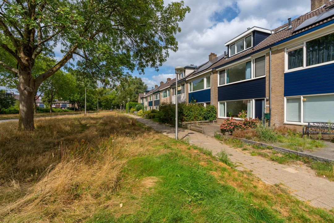 Nijenheim 2303, Zeist