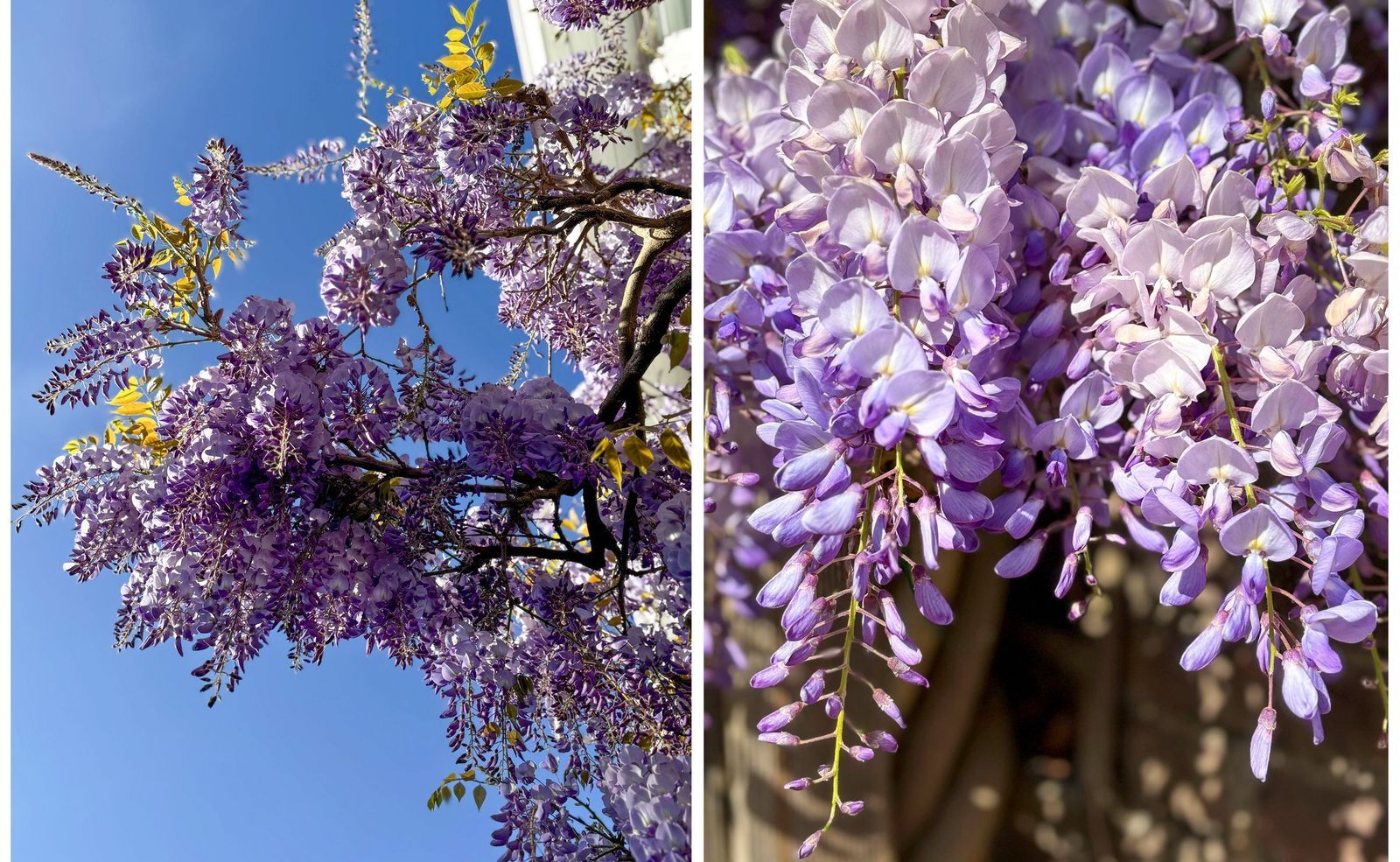 Merwedestraat 29, Utrecht foto-20
