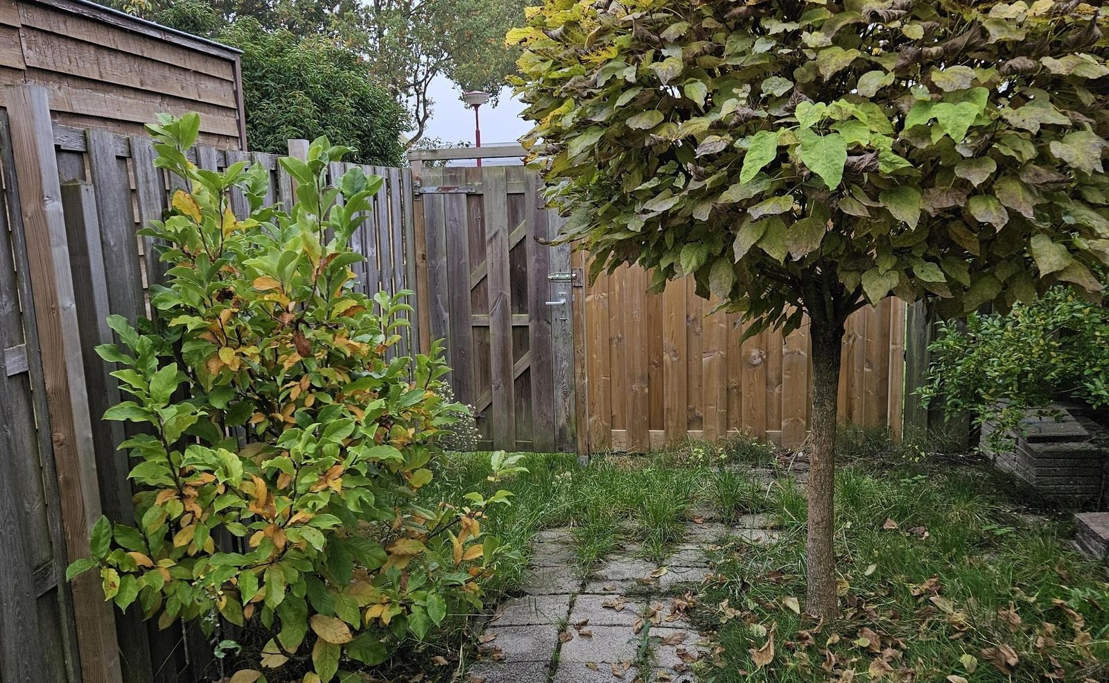 Matkopsingel 3, Nieuwegein foto-7