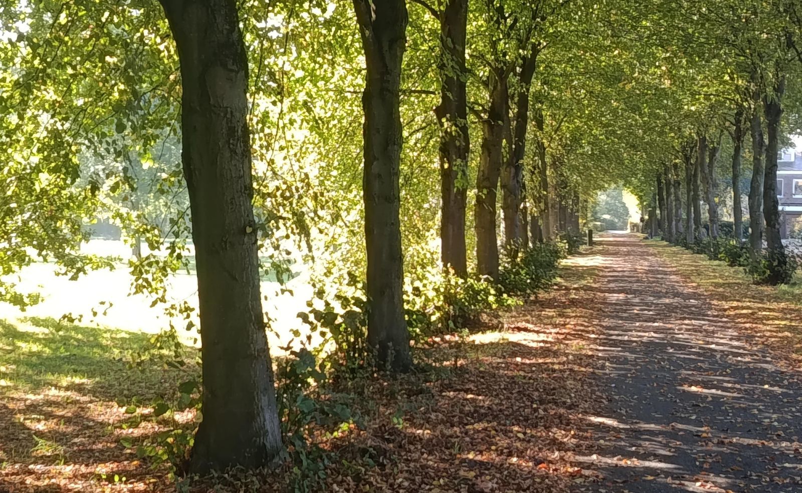 Kloosterpark 1, De Meern foto-4