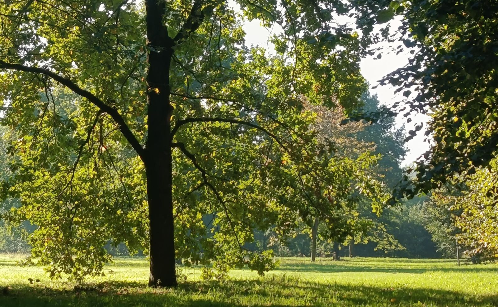 Kloosterpark 1, De Meern foto-5