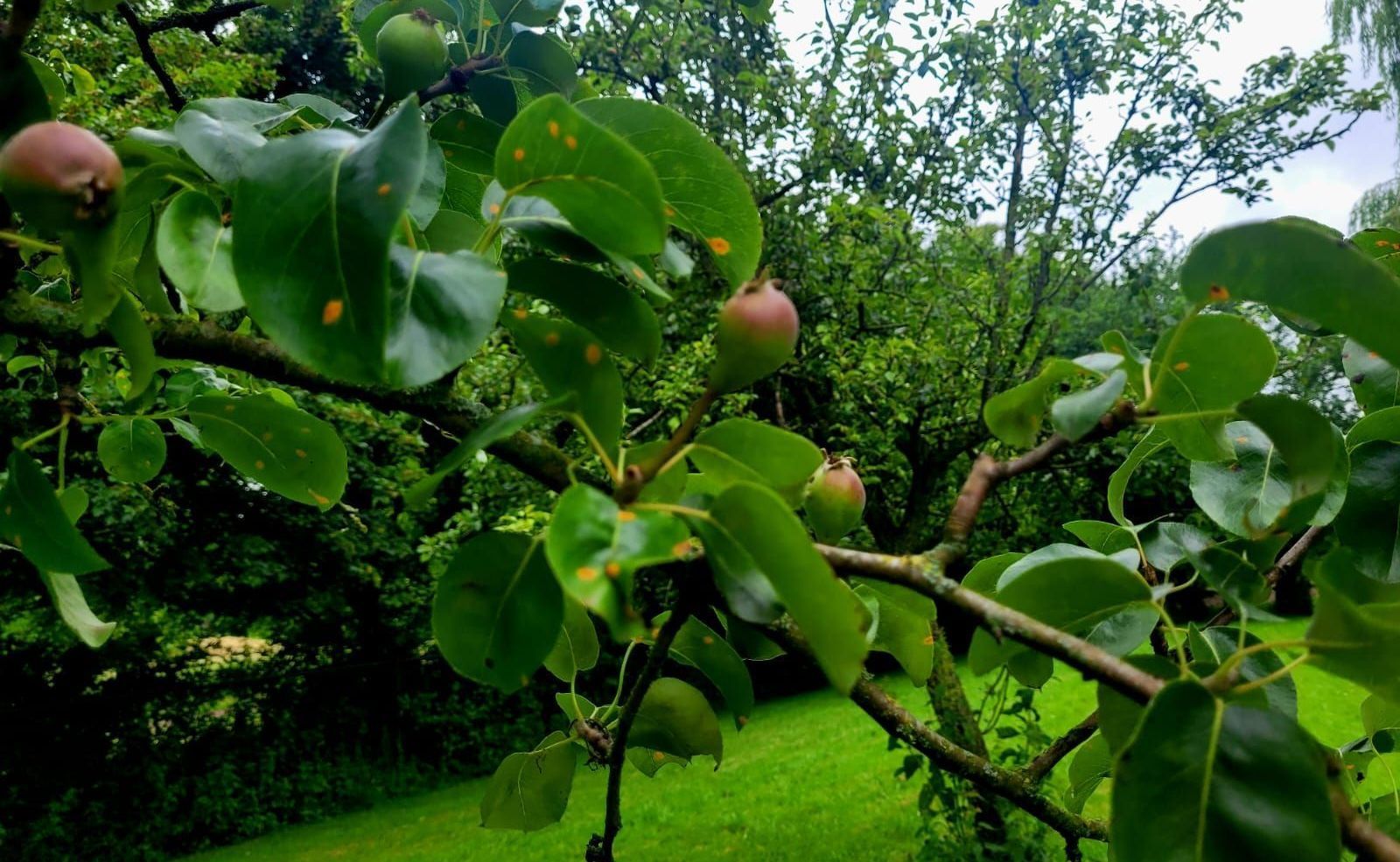 Kloosterpark 1, De Meern foto-38