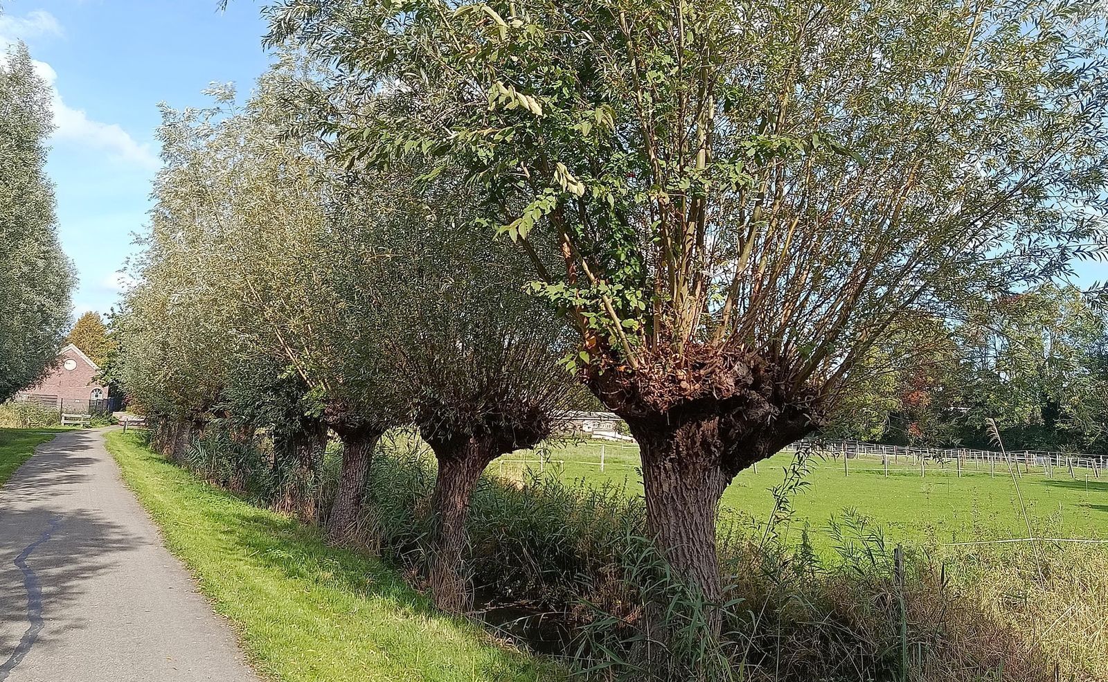 Kloosterpark 1, De Meern foto-41