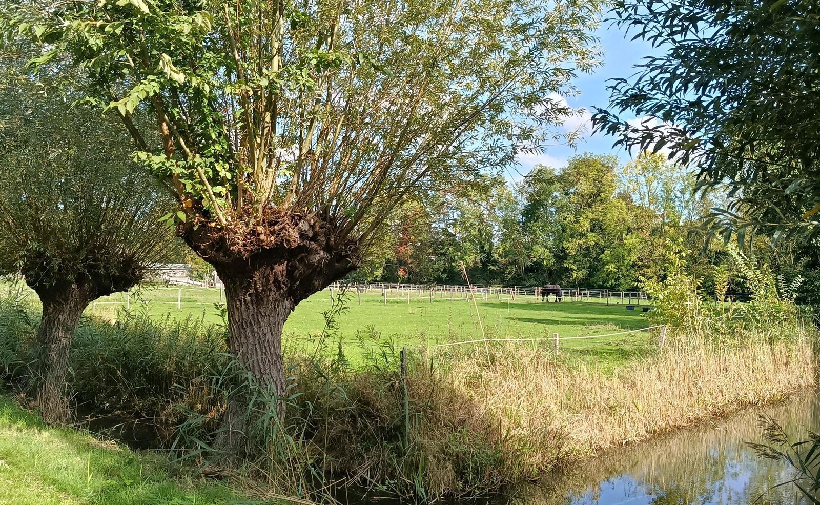 Kloosterpark 1, De Meern foto-42