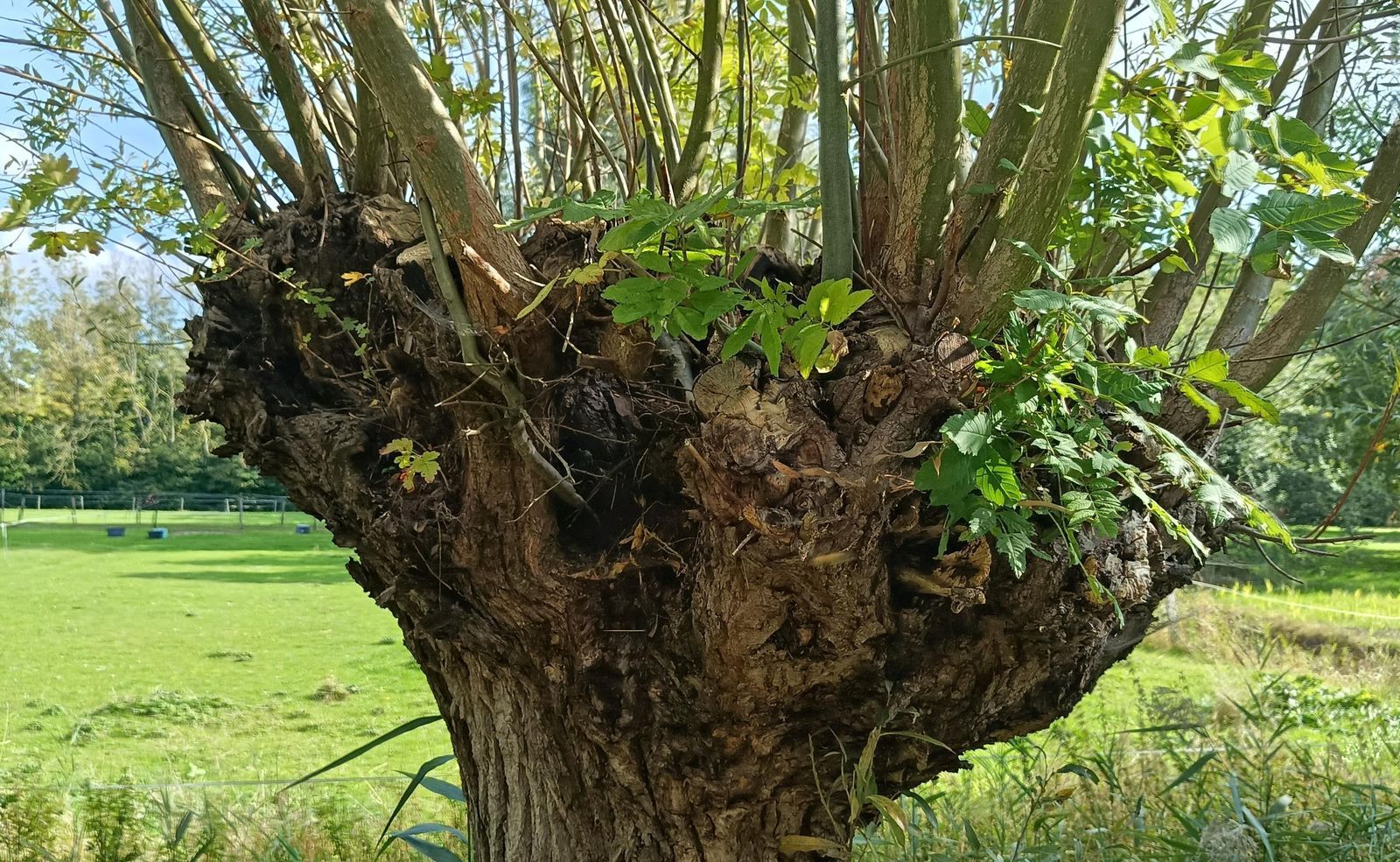 Kloosterpark 1, De Meern foto-44