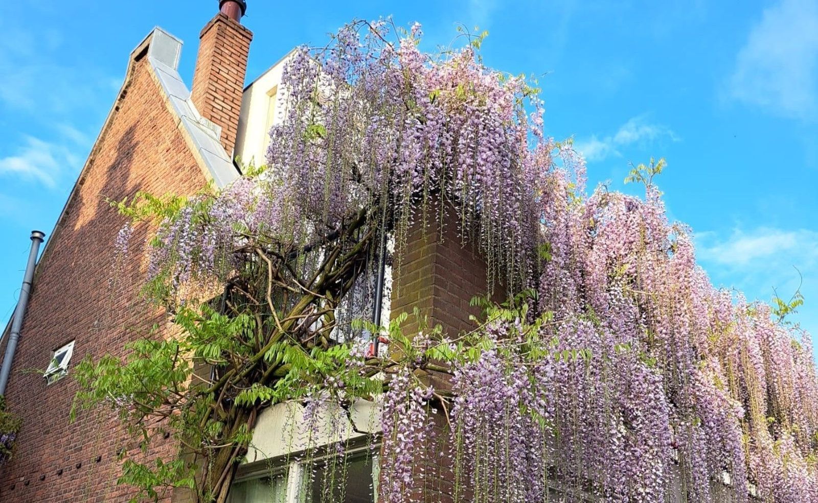 Appelstraat 20, Utrecht foto-26
