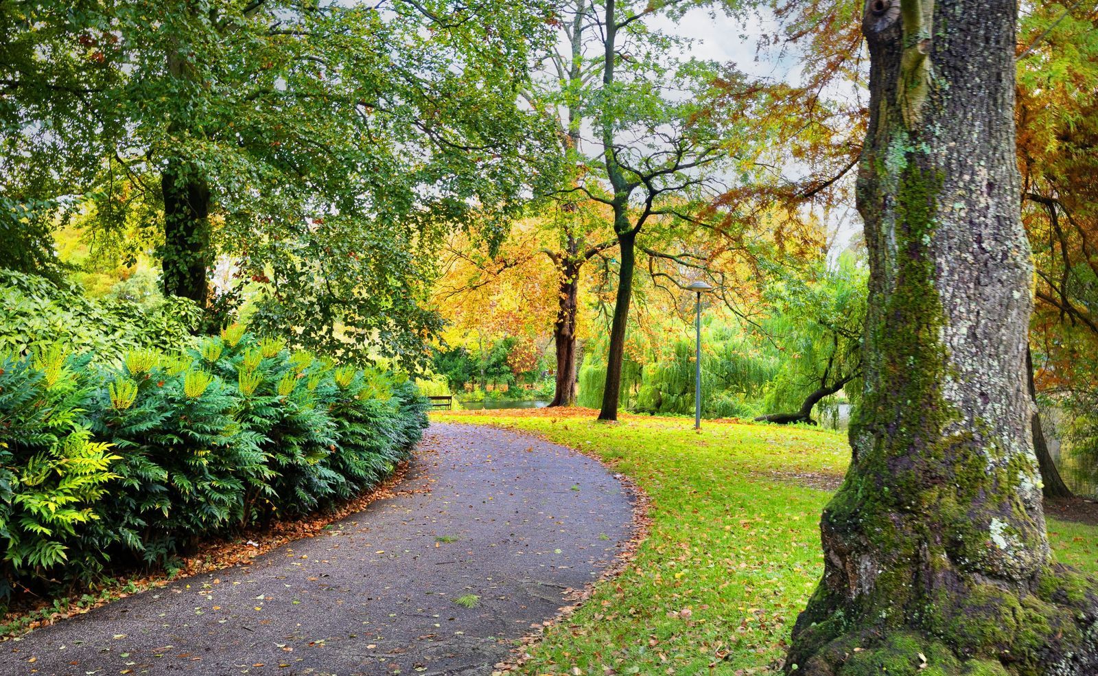 Baanstraat 7, Utrecht foto-32