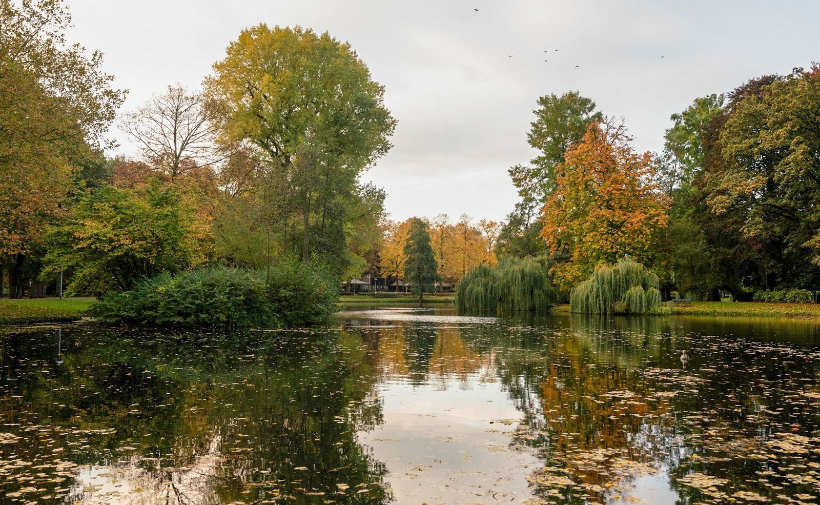 Prins Hendriklaan 43 B, Utrecht foto-19
