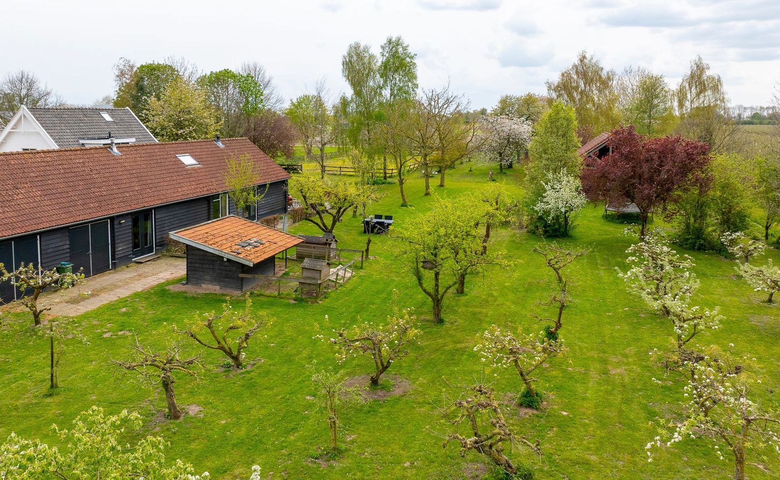 Ganzert 30, Eck En Wiel foto-35