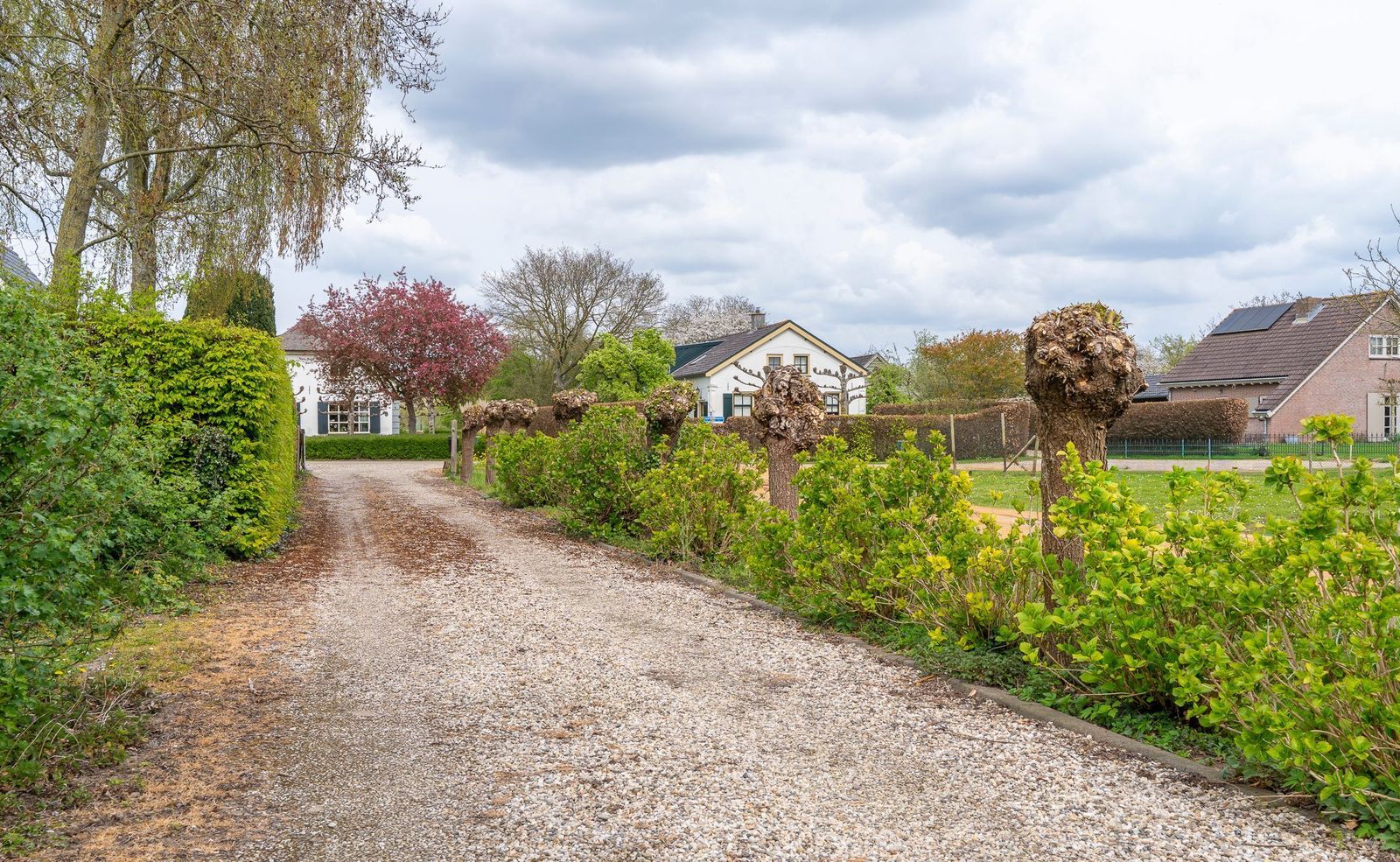 Ganzert 30, Eck En Wiel foto-38