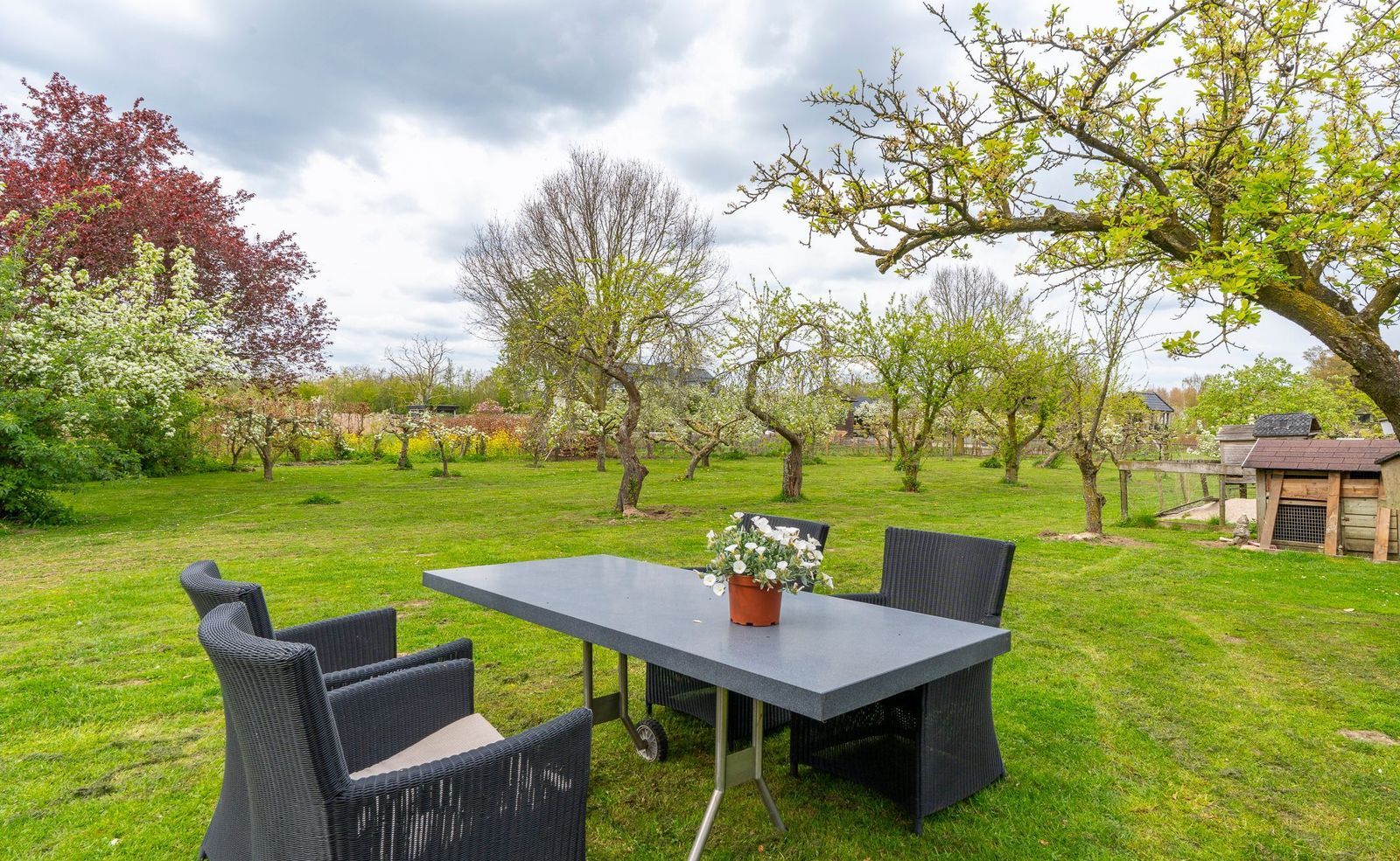 Ganzert 30, Eck En Wiel foto-41