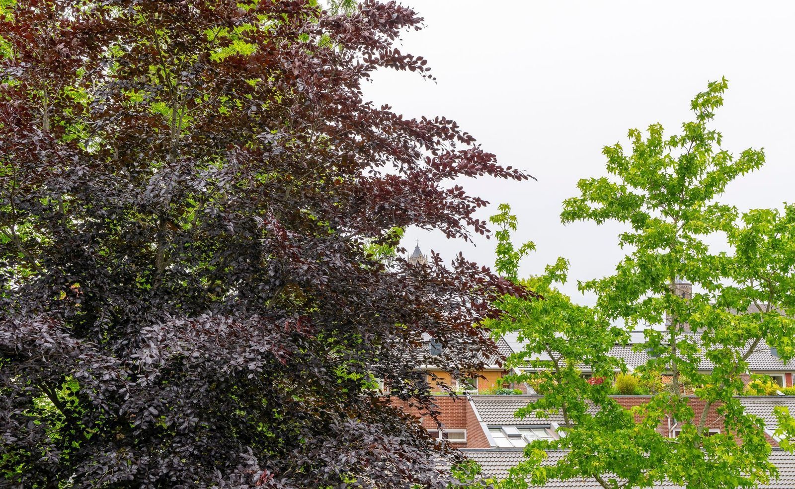 Vrouwjuttenstraat 12 A, Utrecht foto-32