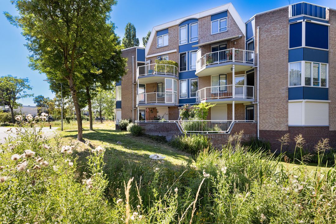 Meent 38, Zeist