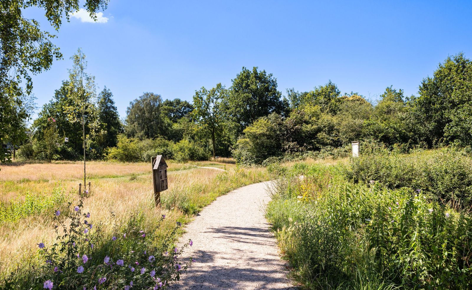 Meent 38, Zeist foto-29