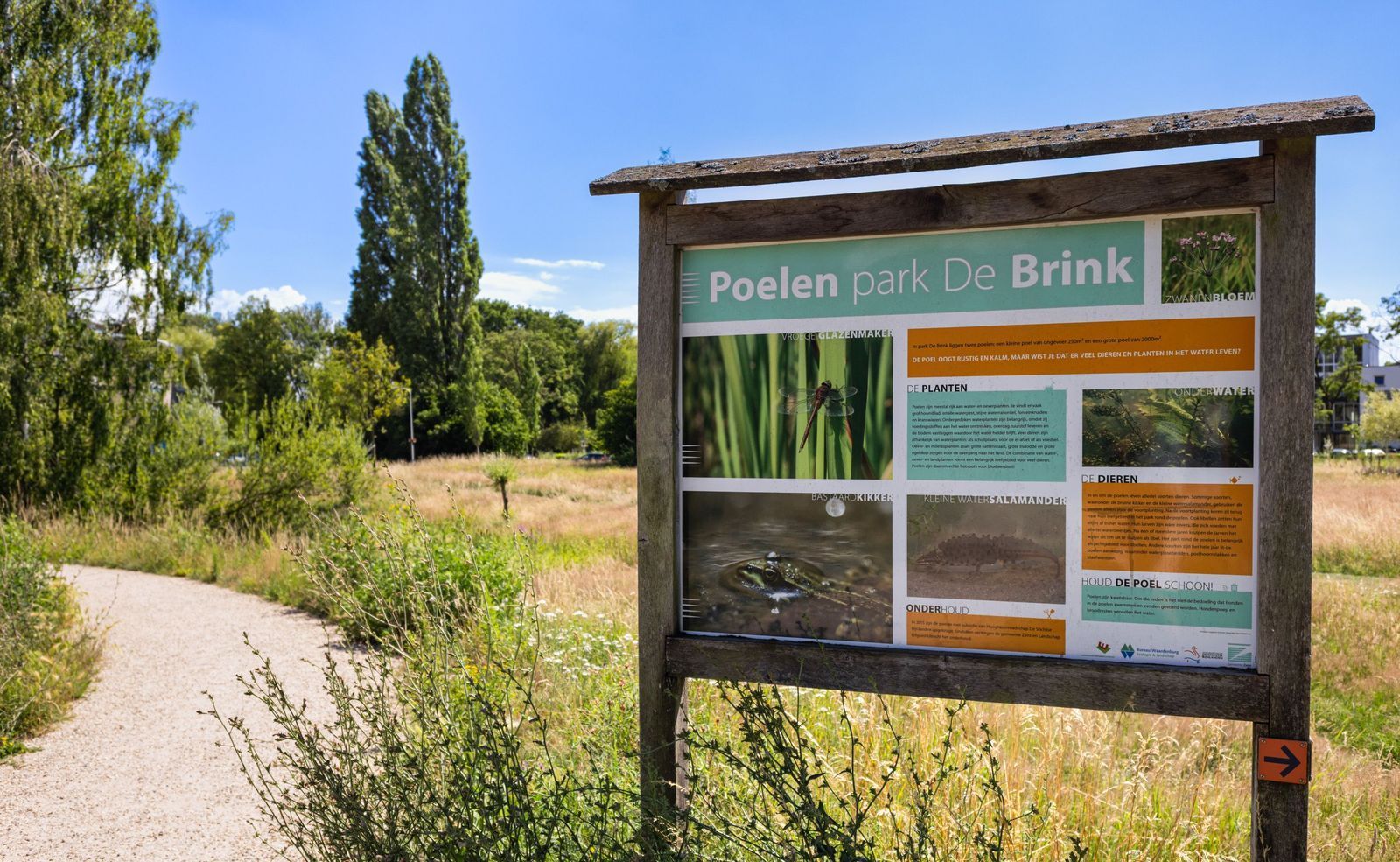 Meent 38, Zeist foto-30