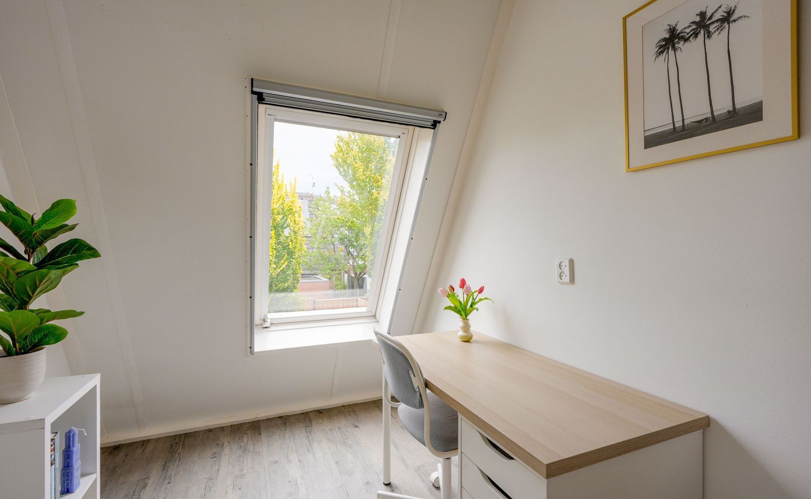 Zeyster Zand 8, Zeist foto-13