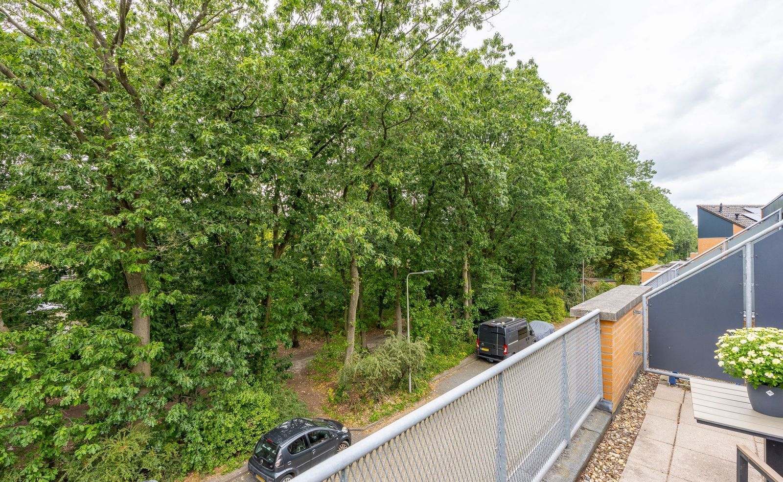 Zeyster Zand 8, Zeist foto-25