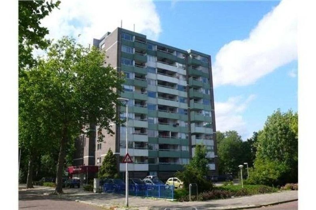 Limburglaan