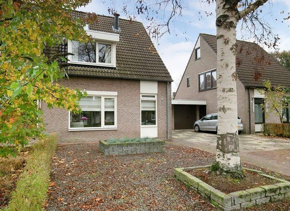 apartments for rent on Dianestraat