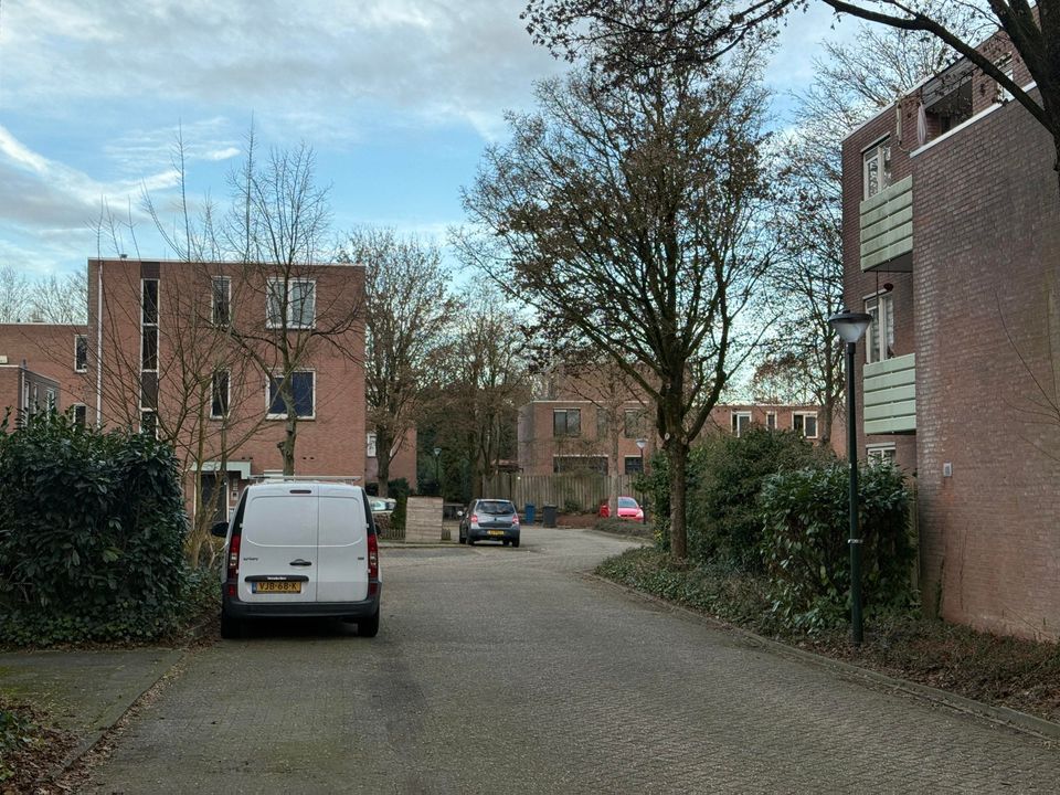 Schietbergen