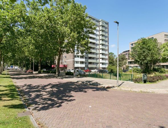 Limburglaan, Eindhoven