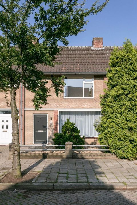 apartments for rent on Grimbeertlaan