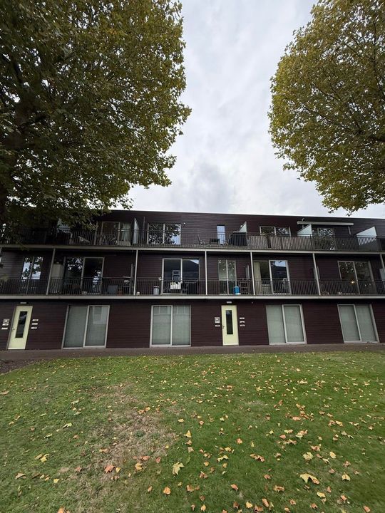 apartments for rent on Philips de Goedelaan