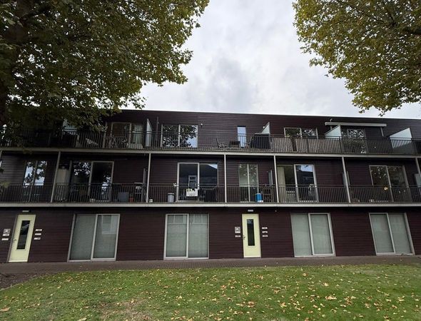 Philips de Goedelaan, Eindhoven
