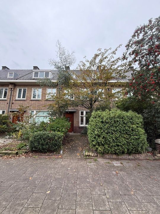 apartments for rent on Boschdijk