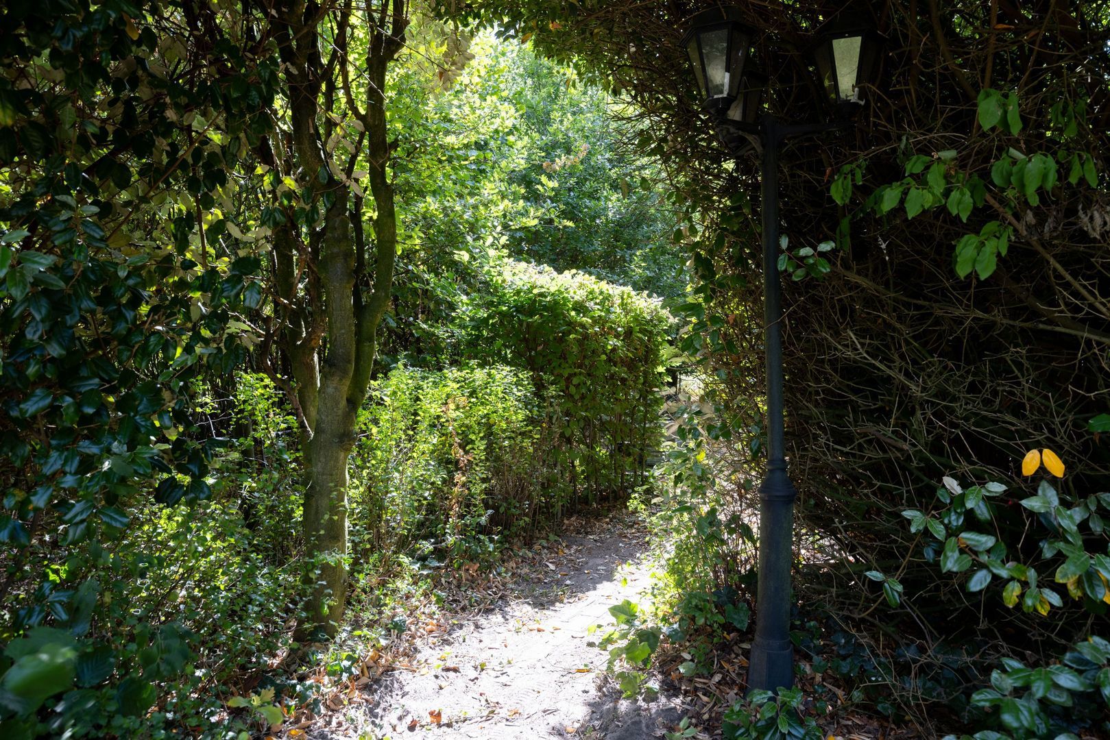 Lossersestraat 270, Enschede foto-45