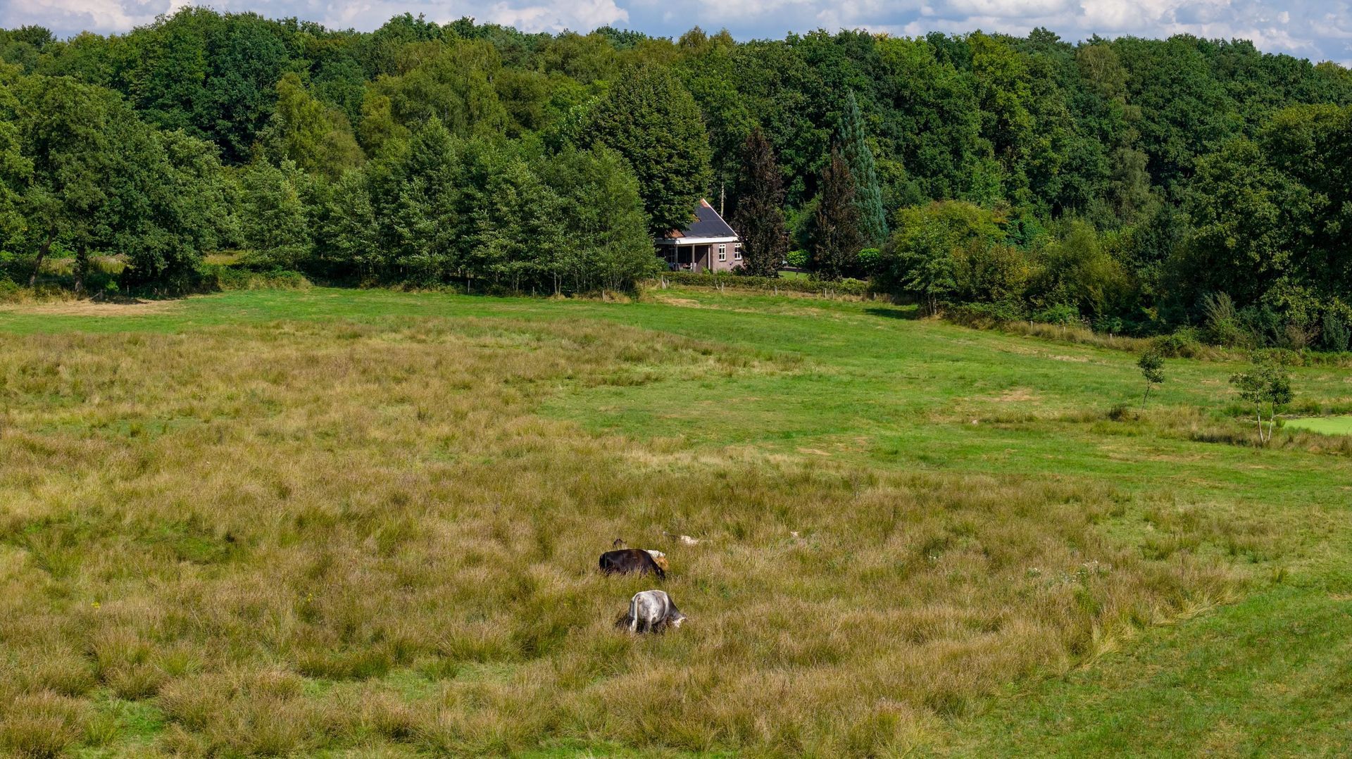 Lossersestraat 270, Enschede foto-41
