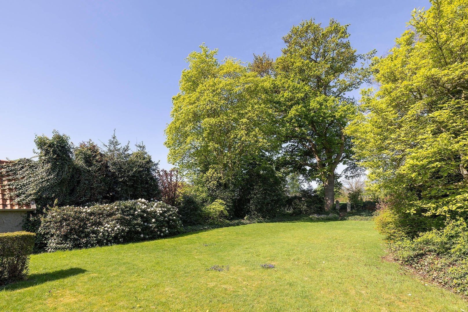 Oranjestraat 46, Tubbergen foto-68