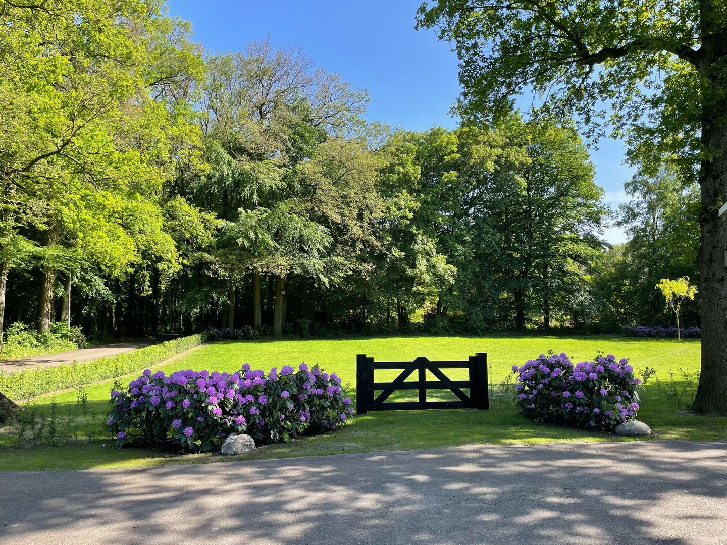 Hofmanweg 4, Enschede foto-4