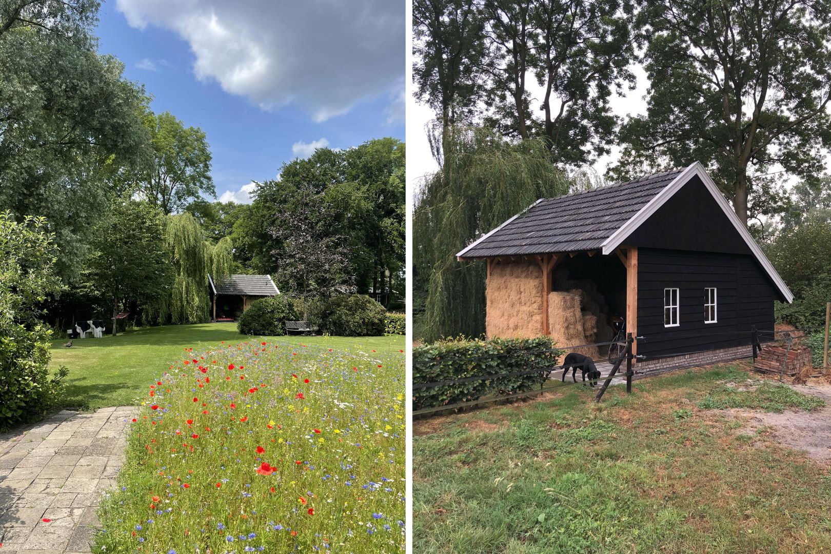 Hofmanweg 2, Enschede foto-8