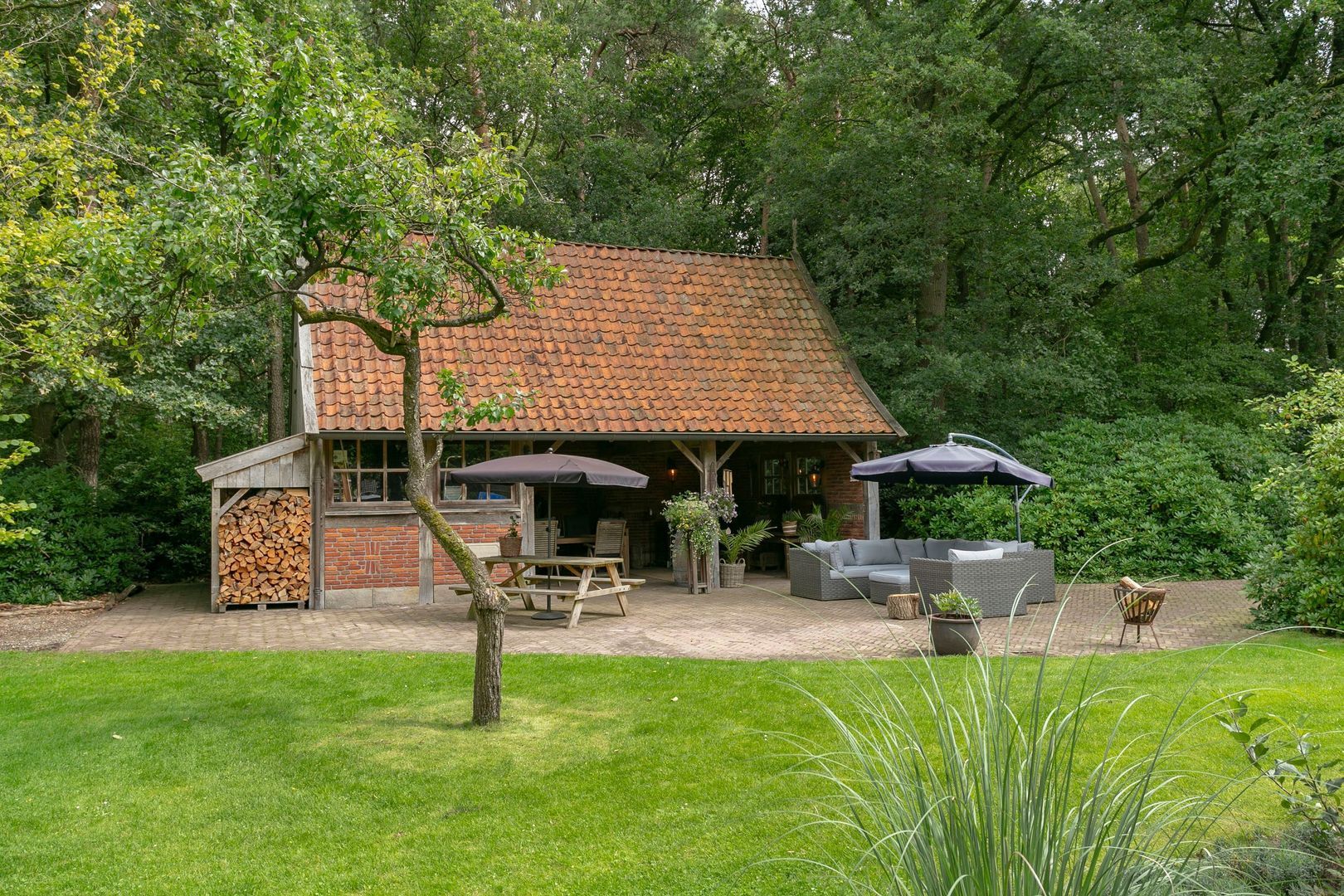 Vrugteveensweg 12, Hellendoorn foto-49