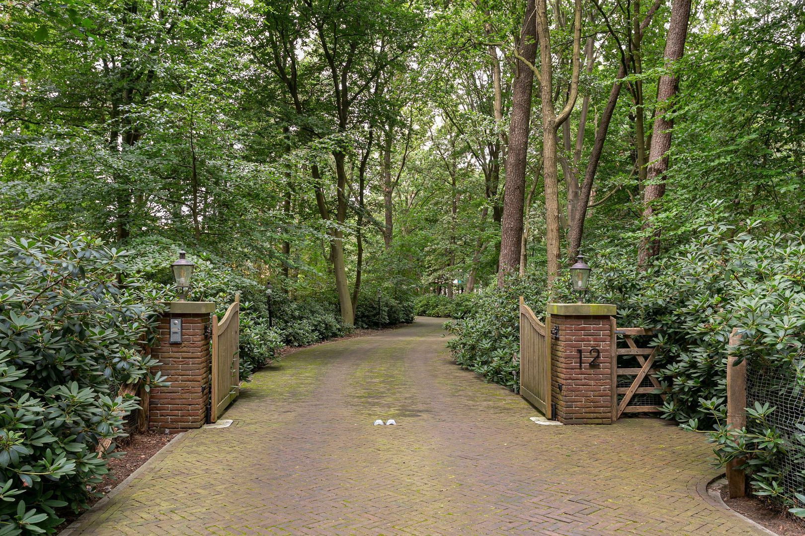 Vrugteveensweg 12, Hellendoorn foto-3