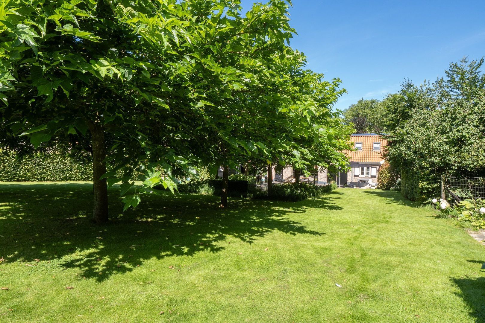 Lidwinaweg 17, Zenderen foto-66