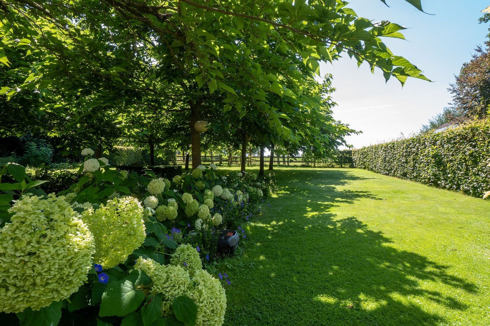 Lidwinaweg 17, Zenderen foto-63