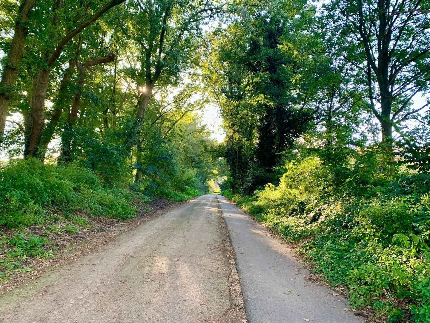 Pastoor Rientjesstraat 45, Hellendoorn foto-69