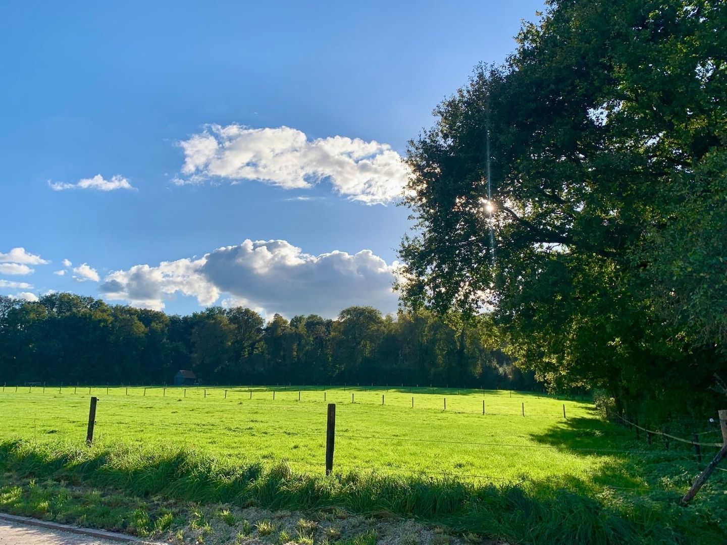 Pastoor Rientjesstraat 45, Hellendoorn foto-68