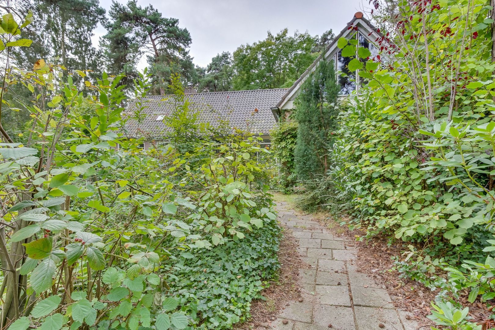 Cornelis Evertsenlaan 1, Nijverdal foto-46