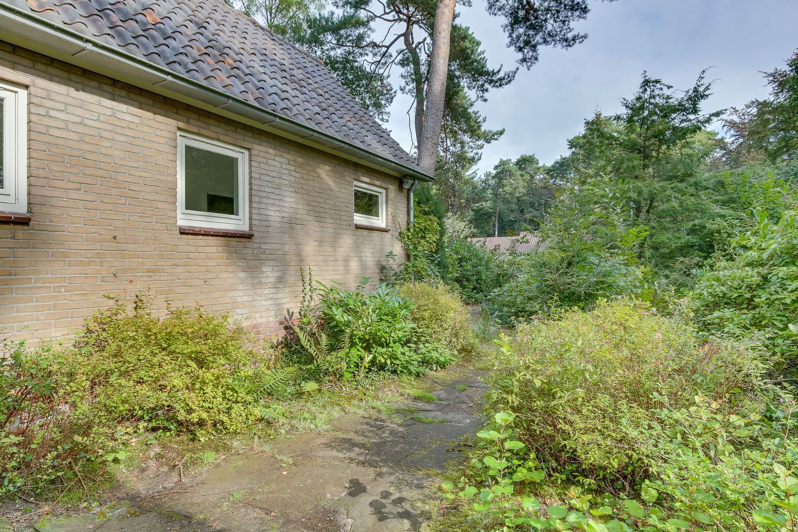 Cornelis Evertsenlaan 1, Nijverdal foto-51