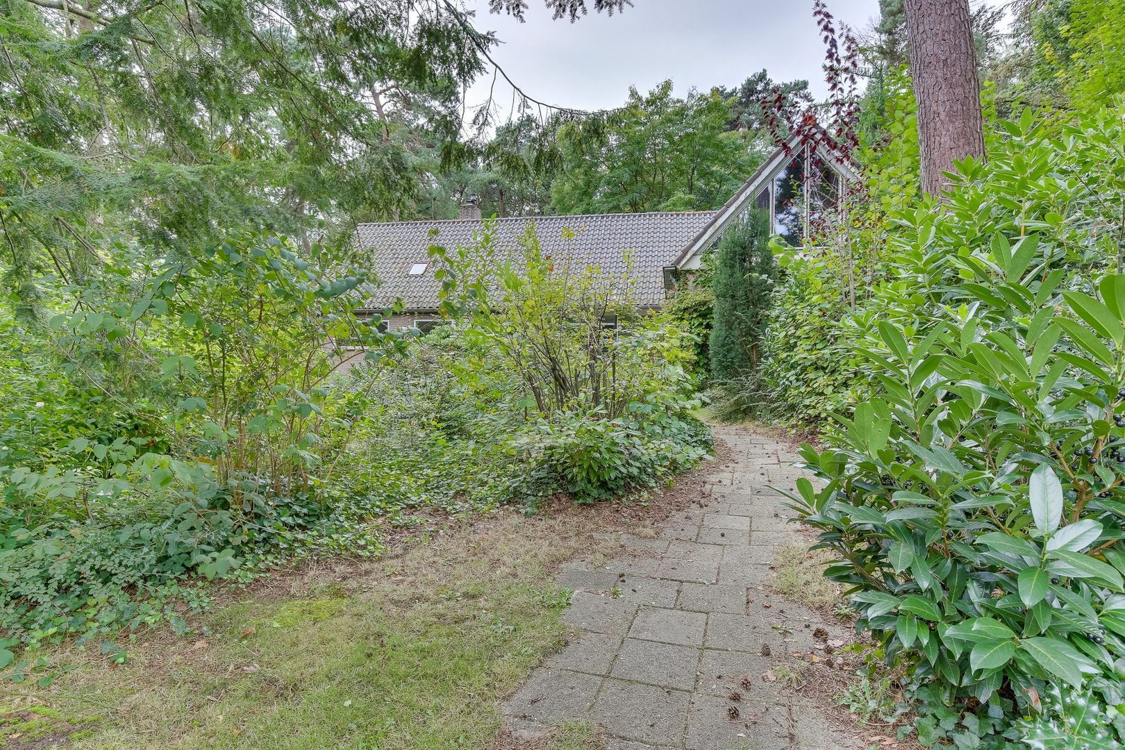 Cornelis Evertsenlaan 1, Nijverdal foto-45