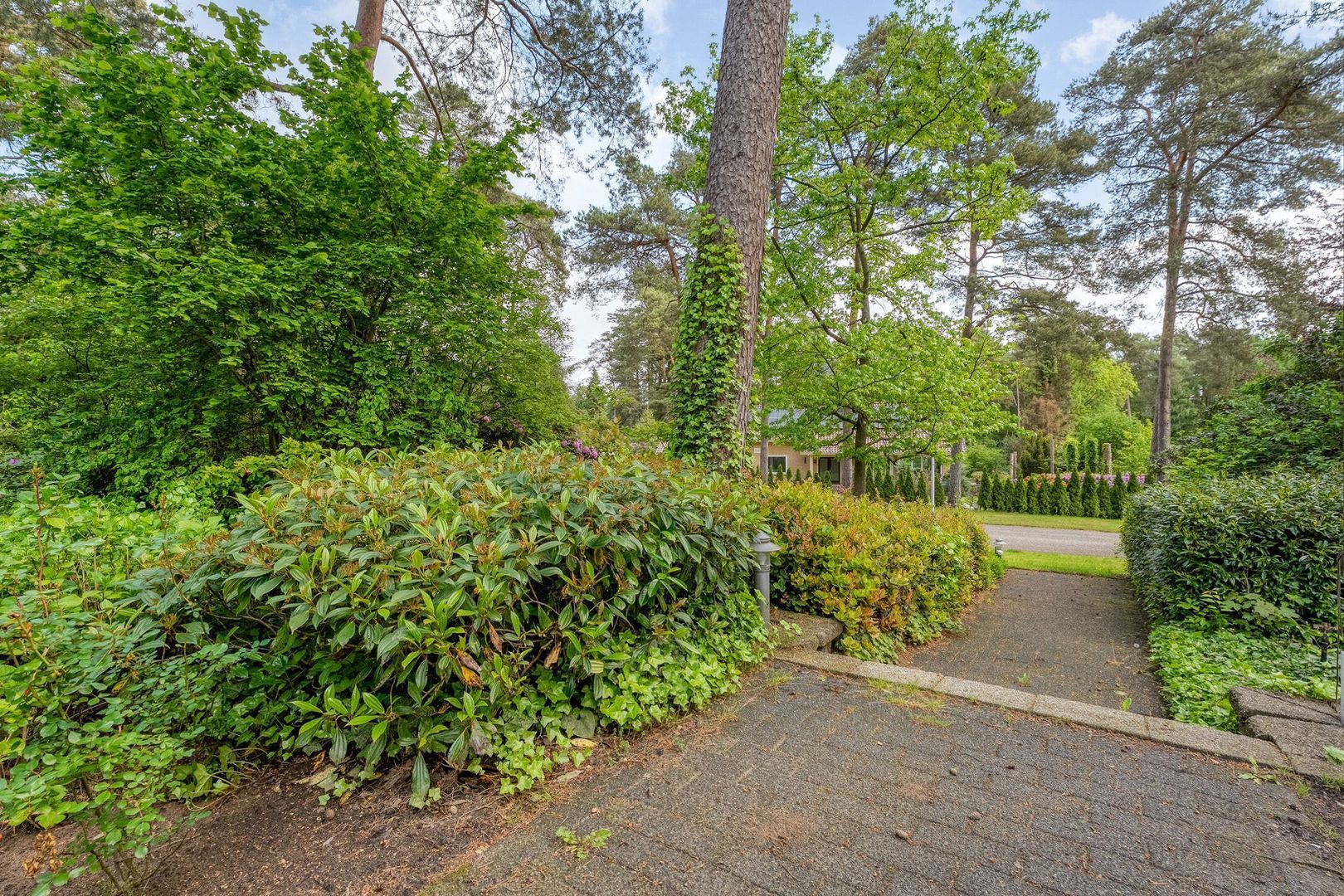 Witte de Withlaan 9, Nijverdal foto-79