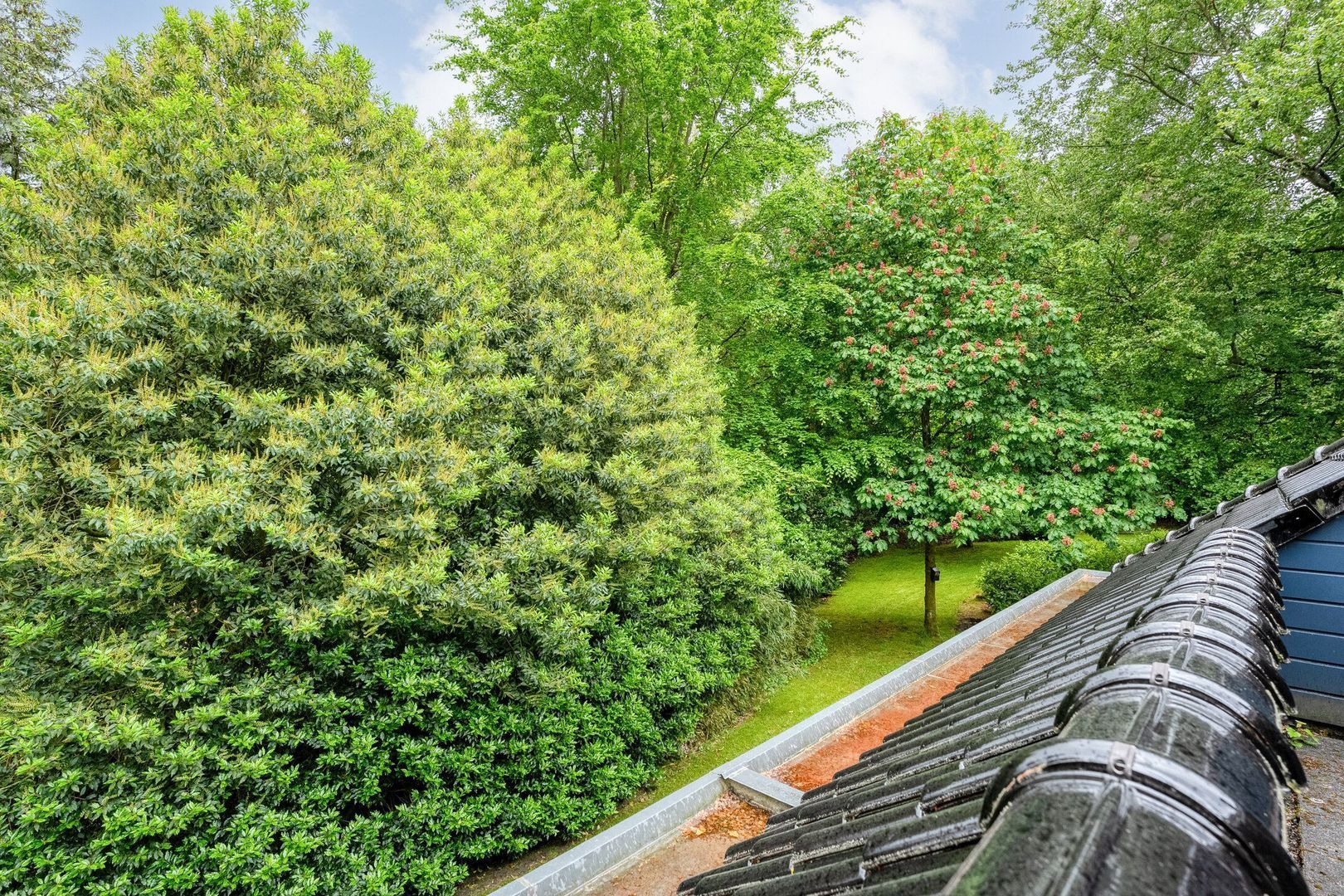Witte de Withlaan 9, Nijverdal foto-33