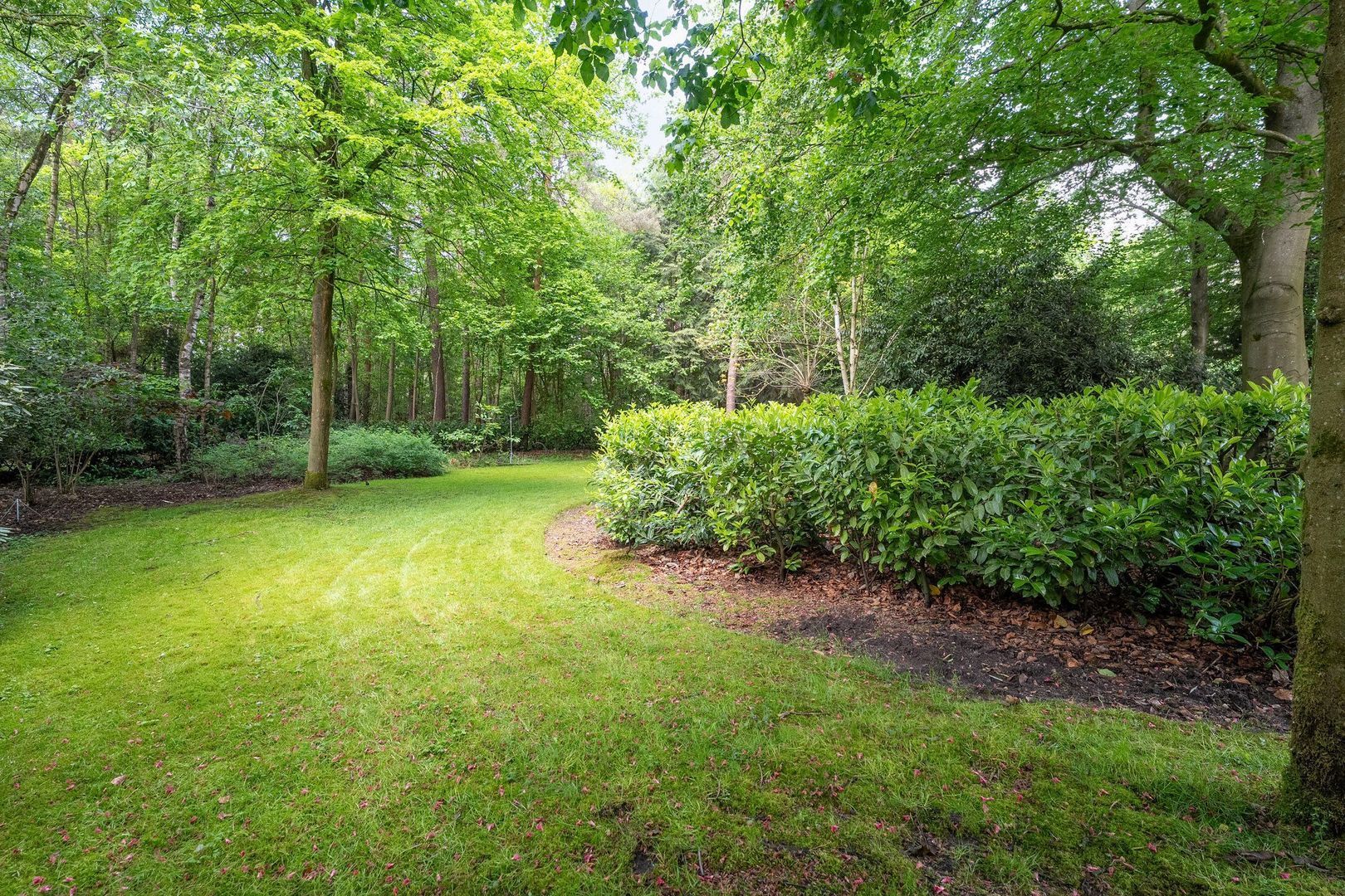 Witte de Withlaan 9, Nijverdal foto-72