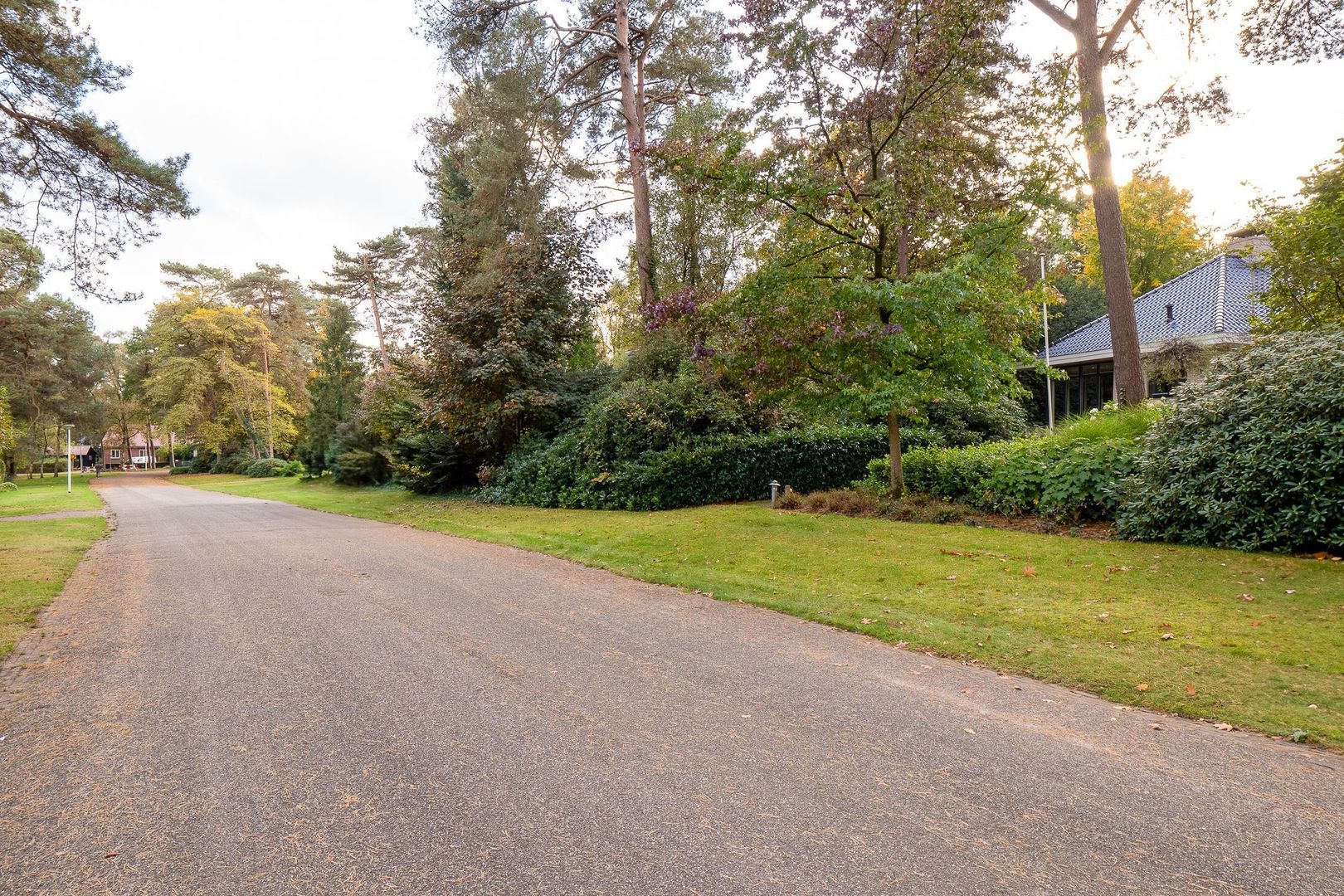 Witte de Withlaan 9, Nijverdal foto-65